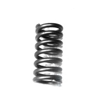 Valve spring 22527820